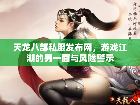 天龙八部私服发布网，游戏江湖的另一面与风险警示