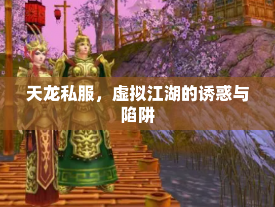 天龙私服，虚拟江湖的诱惑与陷阱