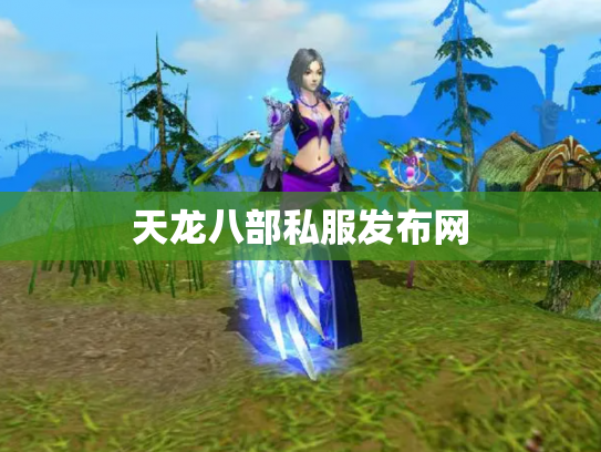 天龙八部私服发布网