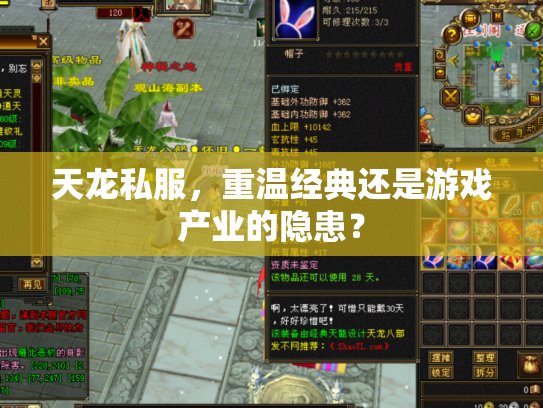 天龙私服，重温经典还是游戏产业的隐患？