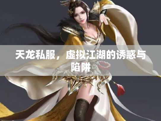 天龙私服，虚拟江湖的诱惑与陷阱