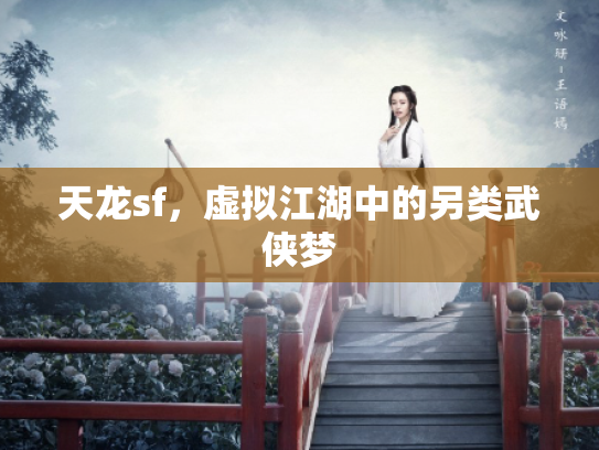天龙sf，虚拟江湖中的另类武侠梦