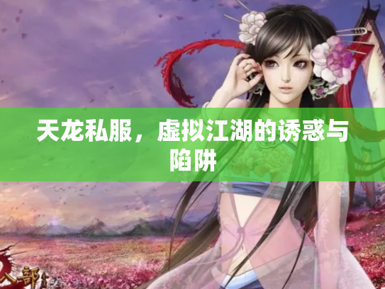 天龙私服，虚拟江湖的诱惑与陷阱