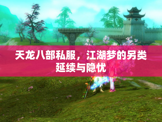 天龙八部私服，江湖梦的另类延续与隐忧