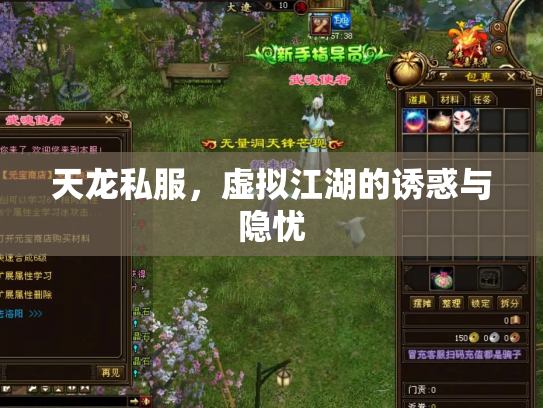 天龙私服，虚拟江湖的诱惑与隐忧