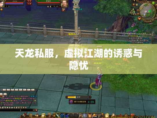 天龙私服，虚拟江湖的诱惑与隐忧