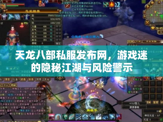 天龙八部私服发布网，游戏迷的隐秘江湖与风险警示