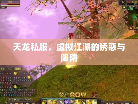 天龙私服，虚拟江湖的诱惑与陷阱