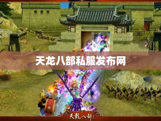天龙八部私服发布网