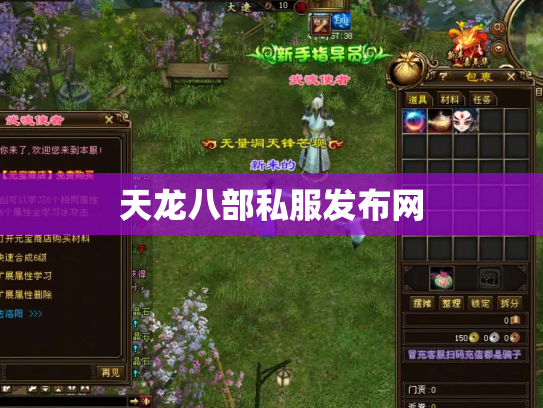 天龙八部私服发布网
