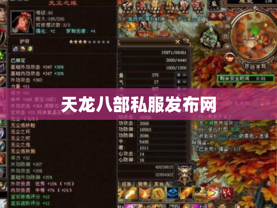 天龙八部私服发布网