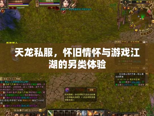 天龙私服，怀旧情怀与游戏江湖的另类体验