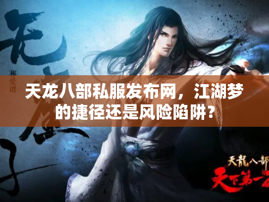 天龙八部私服发布网，江湖梦的捷径还是风险陷阱？