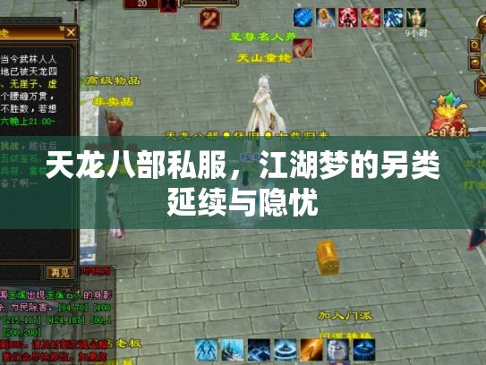 天龙八部私服，江湖梦的另类延续与隐忧