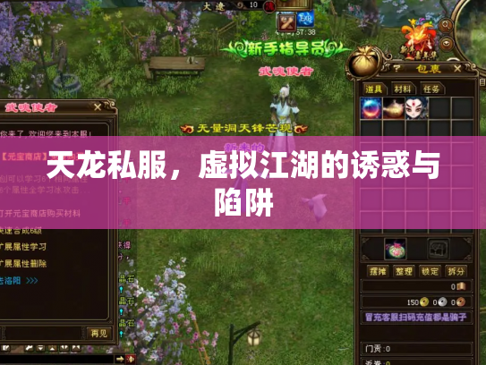 天龙私服，虚拟江湖的诱惑与陷阱