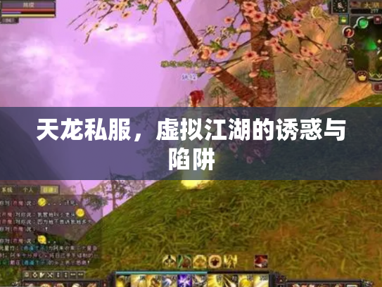 天龙私服，虚拟江湖的诱惑与陷阱