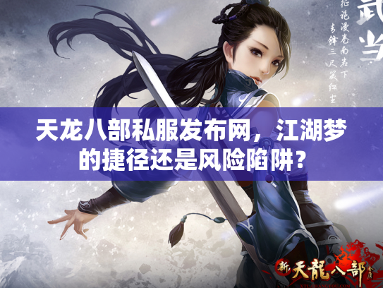 天龙八部私服发布网，江湖梦的捷径还是风险陷阱？