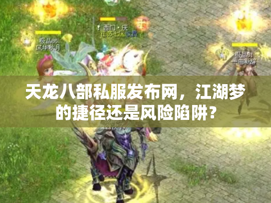 天龙八部私服发布网，江湖梦的捷径还是风险陷阱？