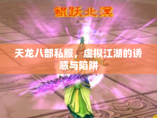 天龙八部私服，虚拟江湖的诱惑与陷阱