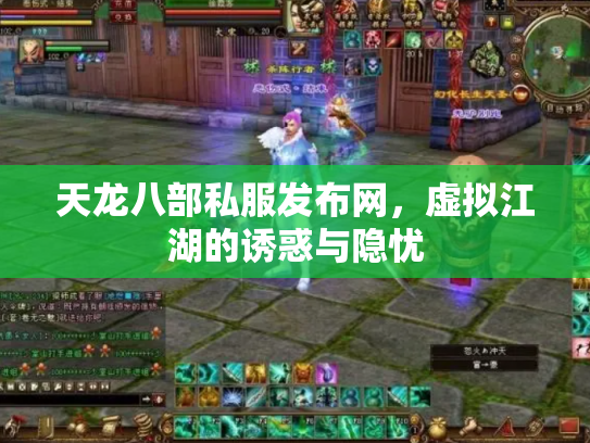 天龙八部私服发布网，虚拟江湖的诱惑与隐忧