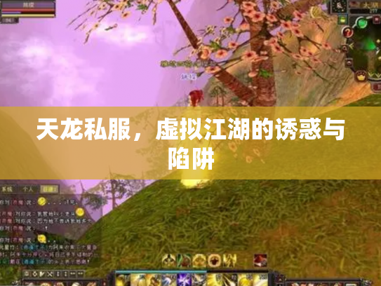 天龙私服，虚拟江湖的诱惑与陷阱