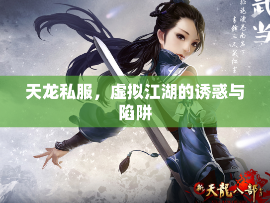天龙私服，虚拟江湖的诱惑与陷阱