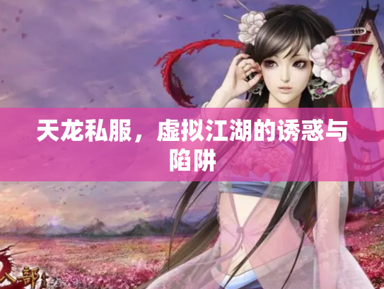 天龙私服，虚拟江湖的诱惑与陷阱