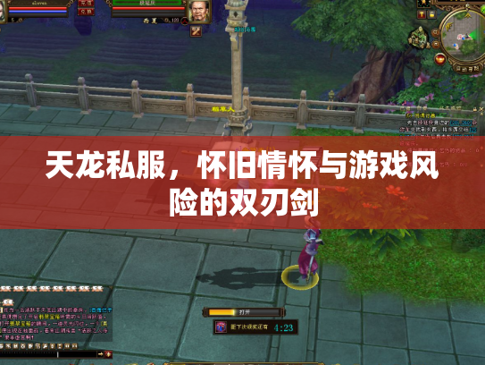 天龙私服，怀旧情怀与游戏风险的双刃剑