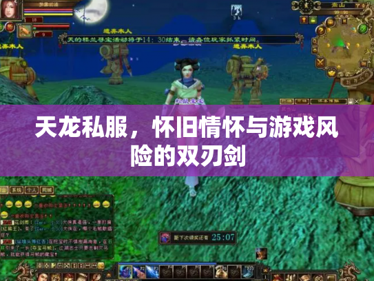 天龙私服，怀旧情怀与游戏风险的双刃剑