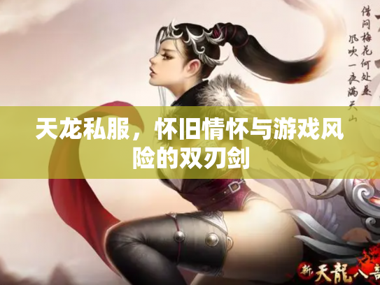 天龙私服，怀旧情怀与游戏风险的双刃剑