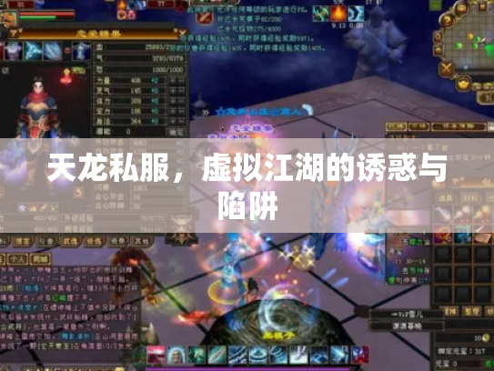 天龙私服，虚拟江湖的诱惑与陷阱