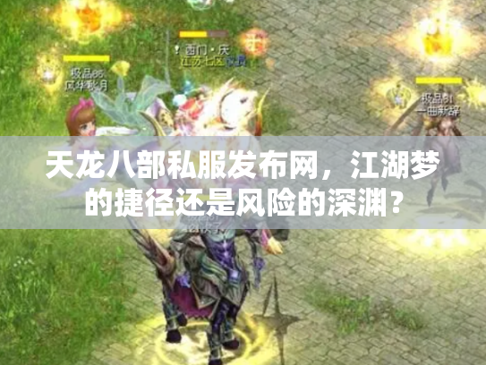 天龙八部私服发布网，江湖梦的捷径还是风险的深渊？