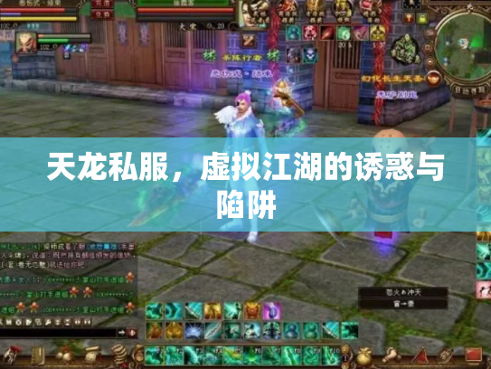 天龙私服，虚拟江湖的诱惑与陷阱