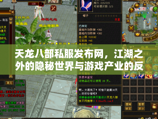 天龙八部私服发布网，江湖之外的隐秘世界与游戏产业的反思