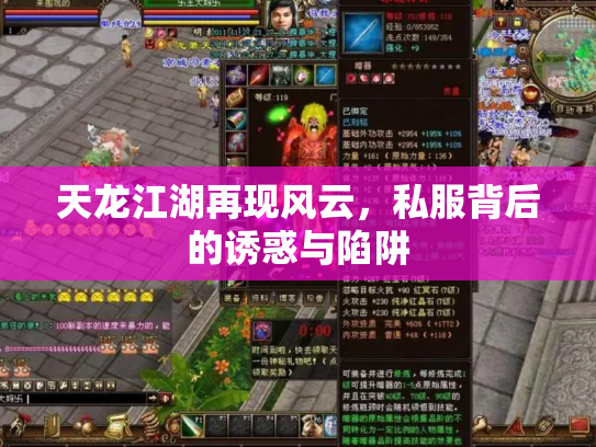 天龙江湖再现风云，私服背后的诱惑与陷阱