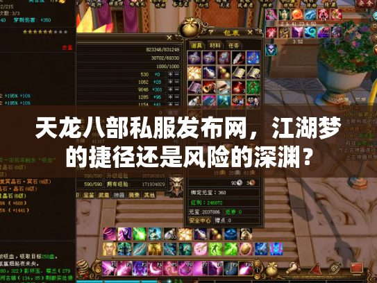 天龙八部私服发布网，江湖梦的捷径还是风险的深渊？