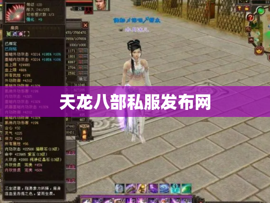 天龙八部私服发布网