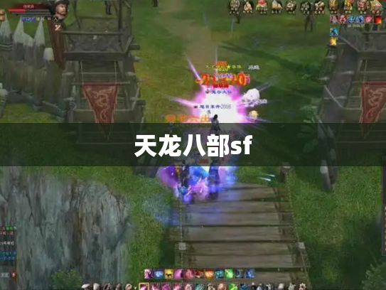 天龙八部sf