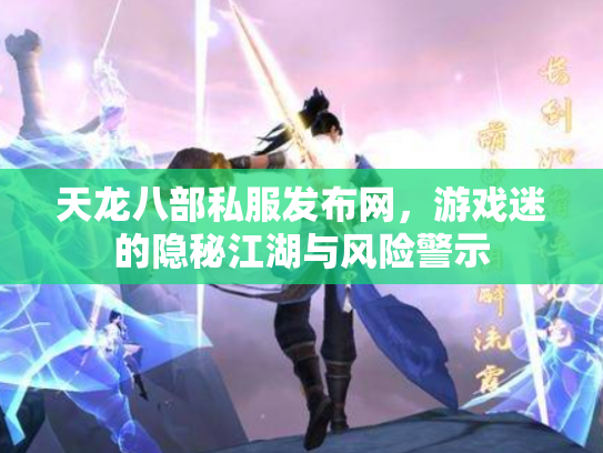 天龙八部私服发布网，游戏迷的隐秘江湖与风险警示