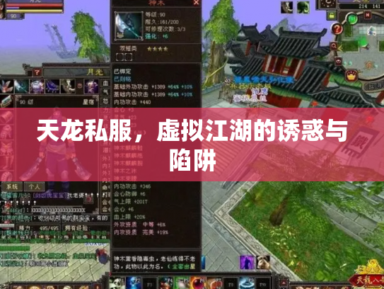 天龙私服，虚拟江湖的诱惑与陷阱