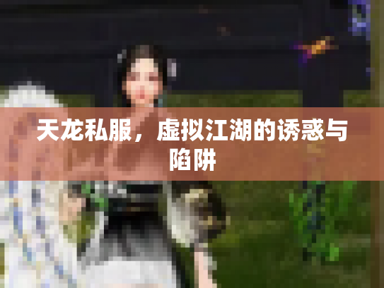 天龙私服，虚拟江湖的诱惑与陷阱