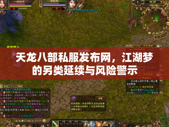 天龙八部私服发布网，江湖梦的另类延续与风险警示