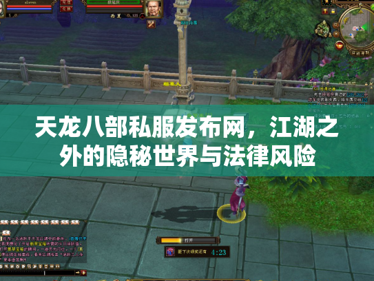 天龙八部私服发布网，江湖之外的隐秘世界与法律风险