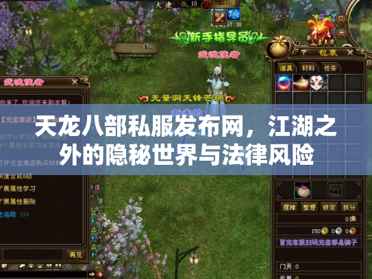 天龙八部私服发布网，江湖之外的隐秘世界与法律风险