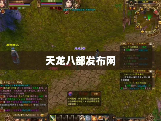 天龙八部发布网