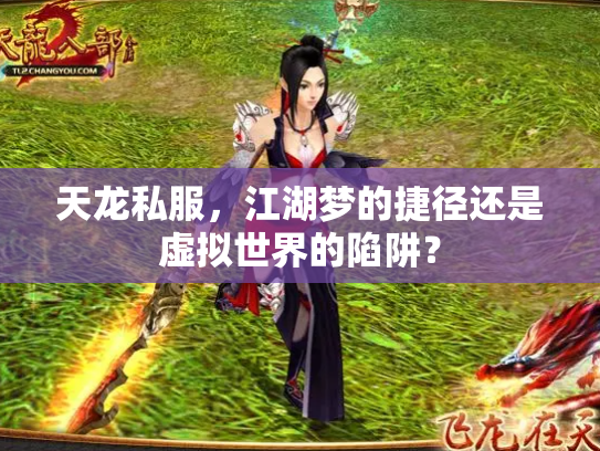 天龙私服，江湖梦的捷径还是虚拟世界的陷阱？