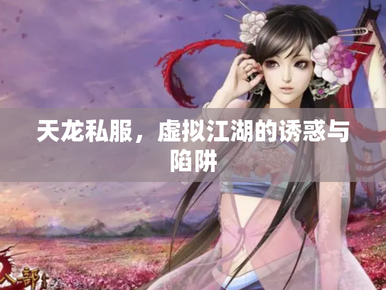 天龙私服，虚拟江湖的诱惑与陷阱