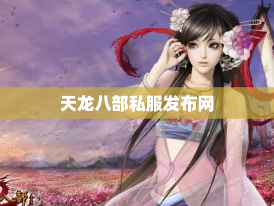 天龙八部私服发布网
