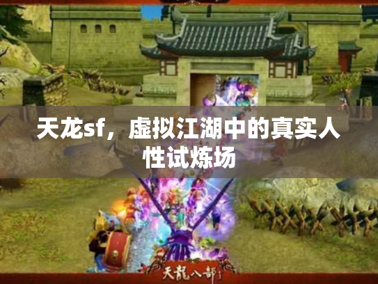 天龙sf，虚拟江湖中的真实人性试炼场
