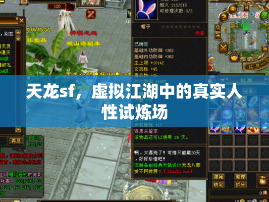 天龙sf，虚拟江湖中的真实人性试炼场